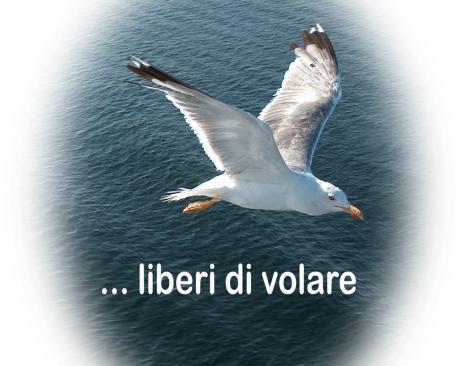 Il gabbiano Jonathan Livingston”: una storia di sfida, coraggio e libertà -  Il Superuovo